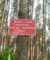 Lasy to nasze wspólne dobro!