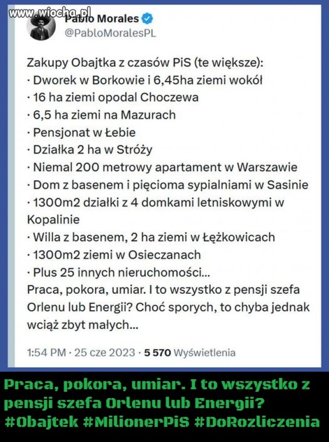 Pisowski oligarcha