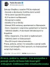 Pisowski oligarcha