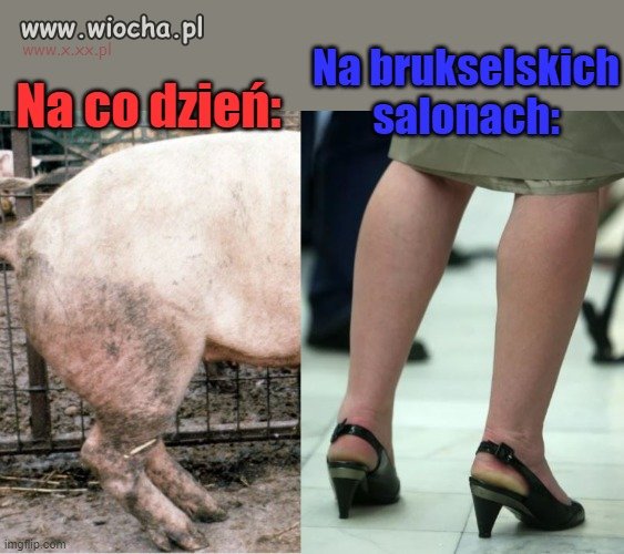 Trzeba się dopasować