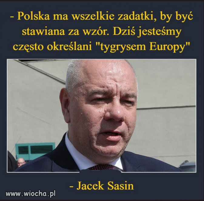 A tak dokladniej, czego wzorem jest Polska PiSu?
