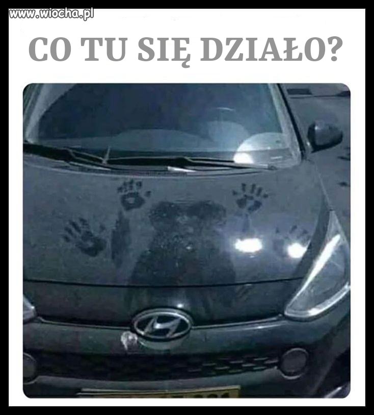 Dziwny stwór