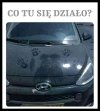 Dziwny stwór