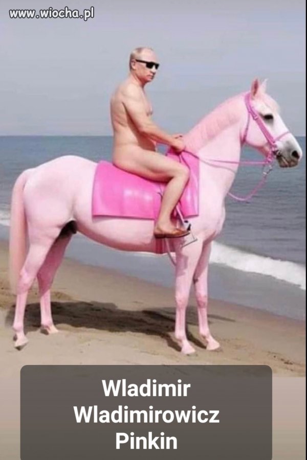Wladimir Wladimir...