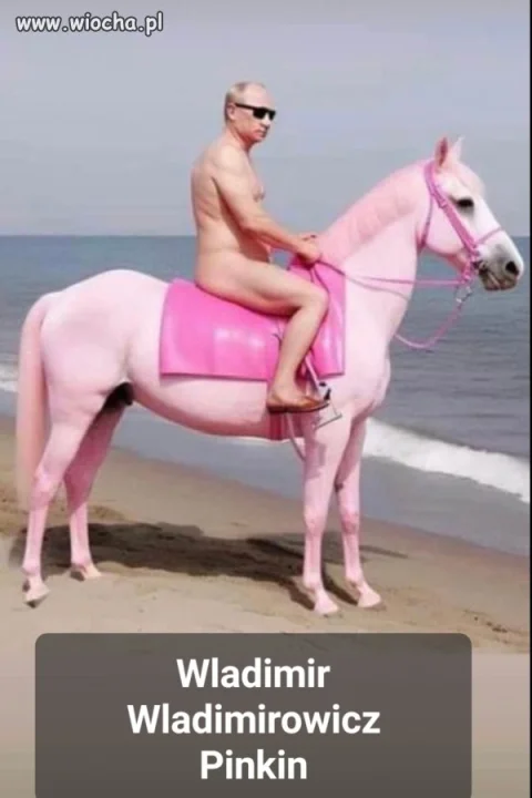 Wladimir Wladimir...