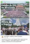 W Bogatyni nie bylo Zoo, ani waty cuktowej...