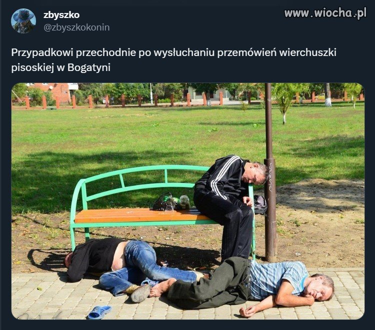 Młodzi murem za Pisiurem. Ha ha ha