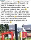 Szkrabom i madce jest przykro
