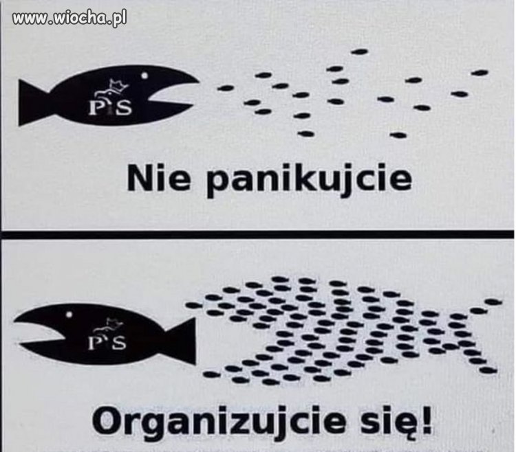 Tak to właśnie jest