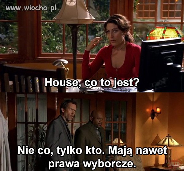 Rozmowa o pisiorach 
