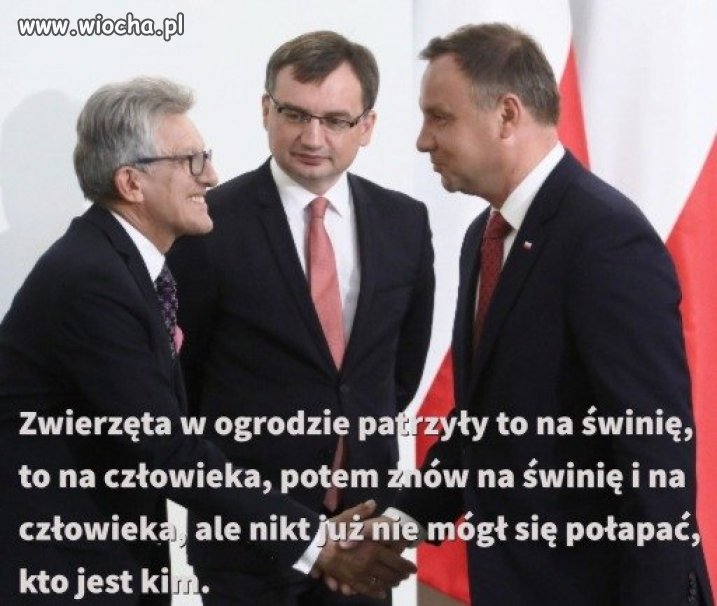 Jeden z internautów podpisał to zdjęcie; żałosna kreatura... 