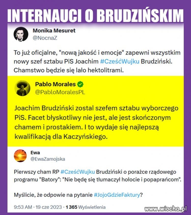 Internauci o nowym szefie sztabu wyborczego pis