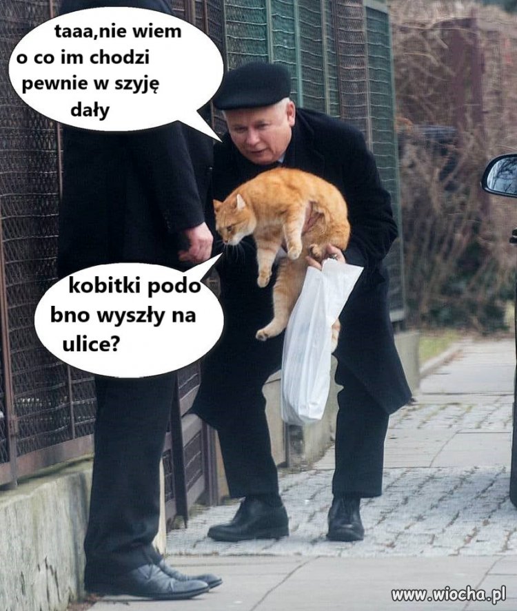 Kobitki,mruczek