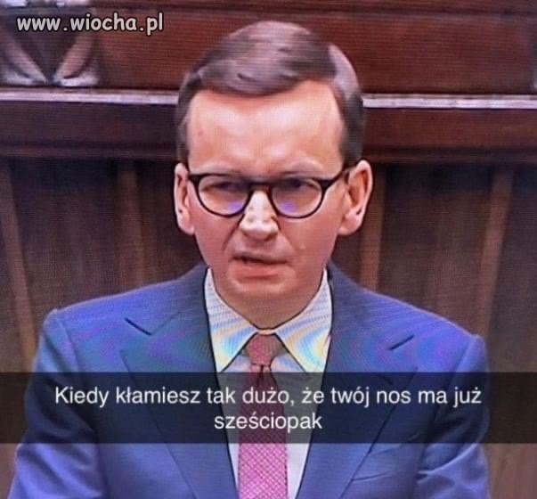 Pinokio prawdę Ci powie