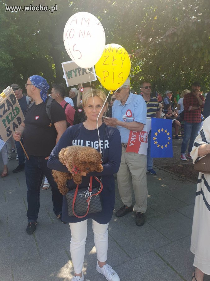 Wg. Tvpis pusto na ulicach Warszawy 