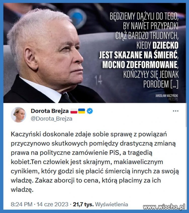 Zakompleksiona wredna gnida
