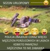 W okresie wakacji ja będę tylko humorystyczne memy