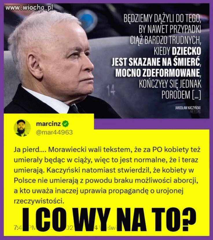 Kaczy sadysta
