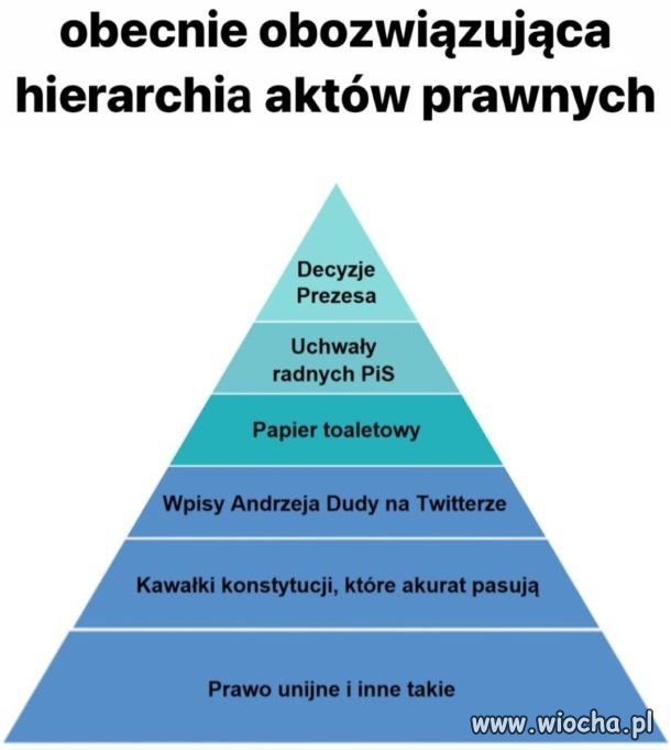 8 lat PiSszamba 