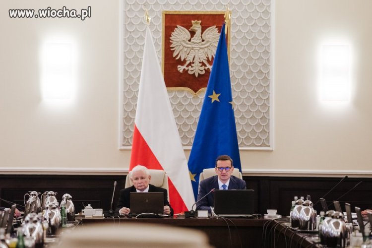 Móżdżku co będziemy robić dziś nocy ?
