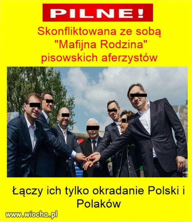 Mafijna rodzina "Zagryziakow"!