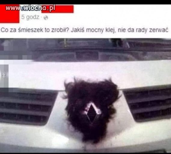 Auto z pipką na masce i kierownicy.