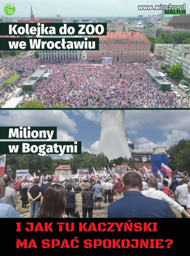 Jarek pieczarek robi pod siebie