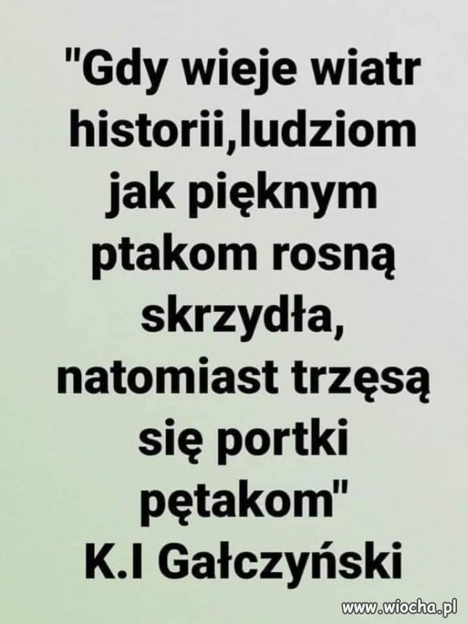 Z cyklu ''złote myśli'' 