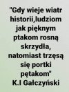 Z cyklu ''złote myśli'' 