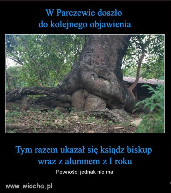 Za rzadow sojuszu PiSu z kosciolem , same cuda...