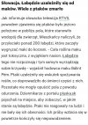 Łabędzie miały odlot