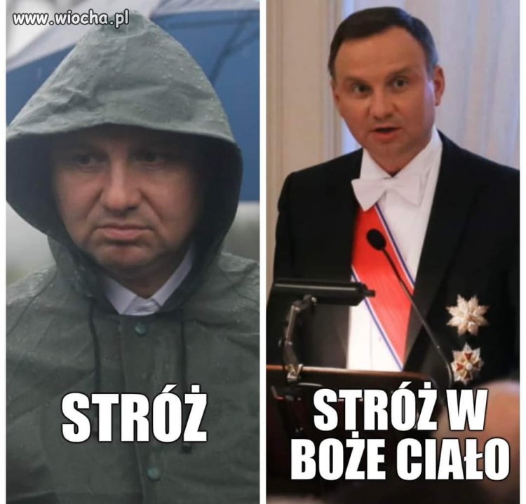 Jak szczur na otwarcie kanału