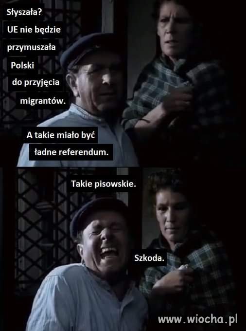 I znów pisiorom nie pykło