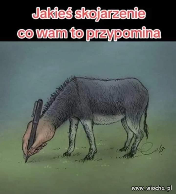 Jakieś pomysły, skojarzenia