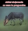 Jakieś pomysły, skojarzenia