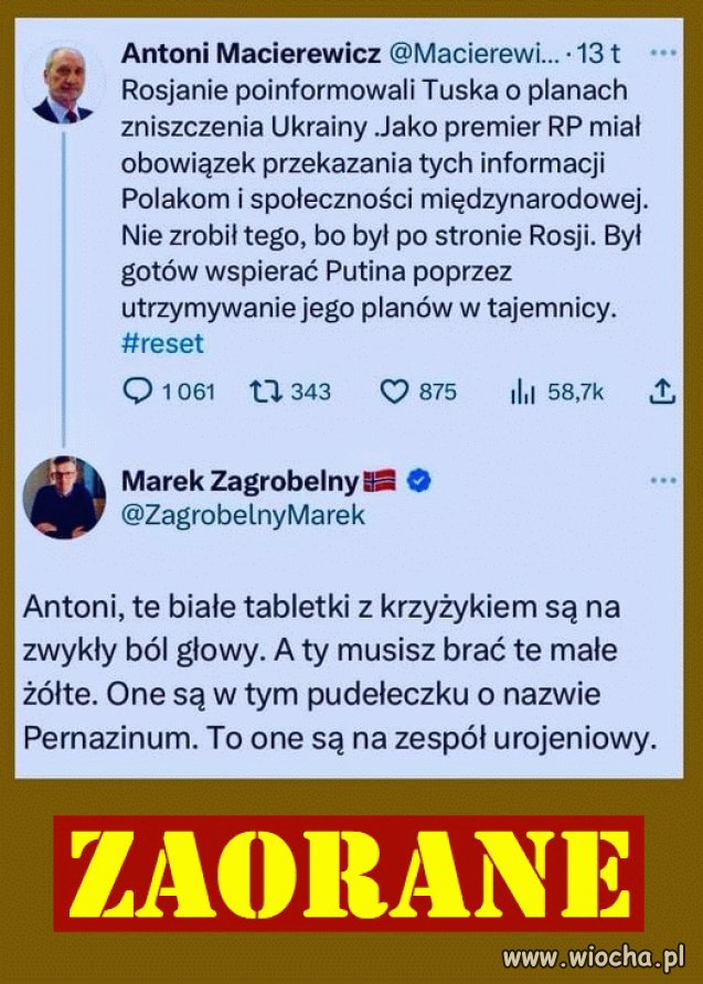 Pogaduchy w sieci