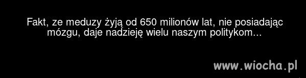 Fakt.