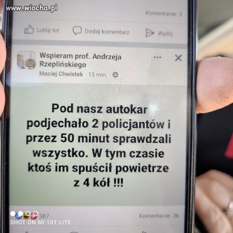 Coś na poprawę humoru