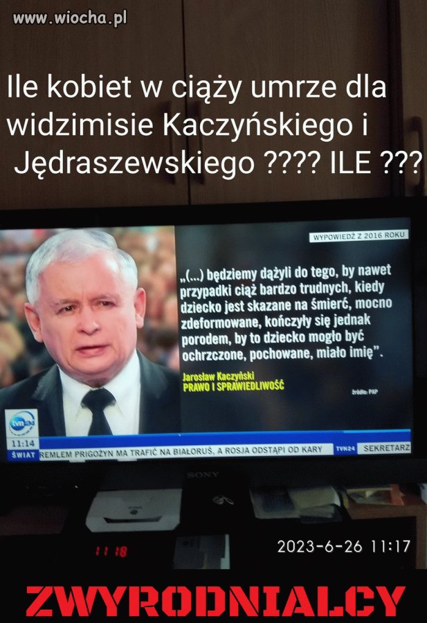 Pisowskie standardy i wartości