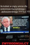 Pisowskie standardy i wartości
