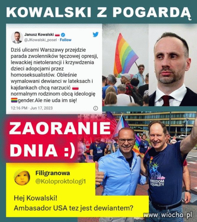 Janusz znowu zaorany