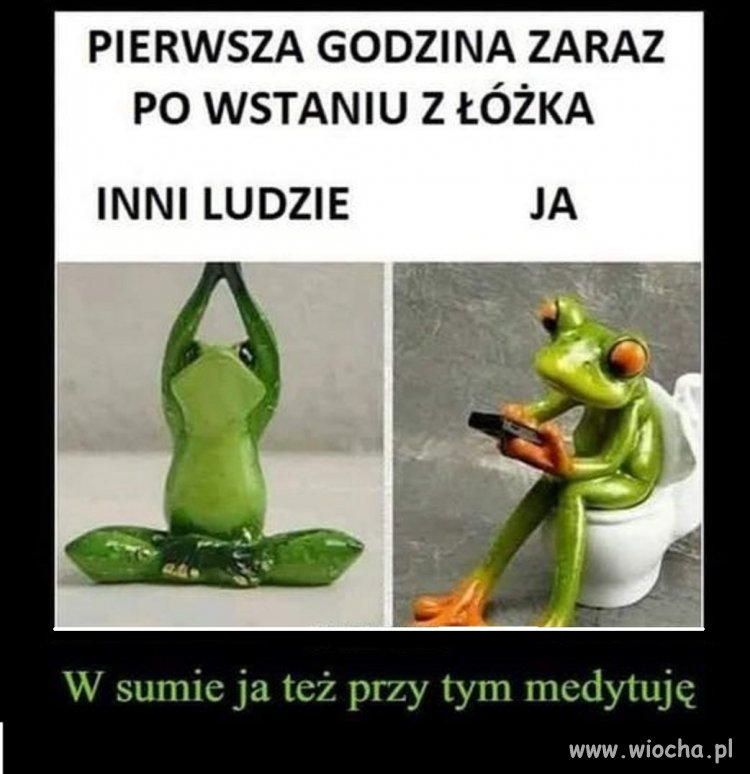 Oczekiwania i rzeczywistość