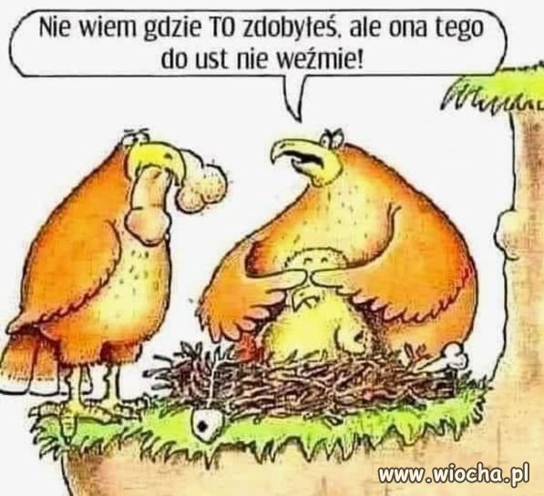 Każda tak mówi.