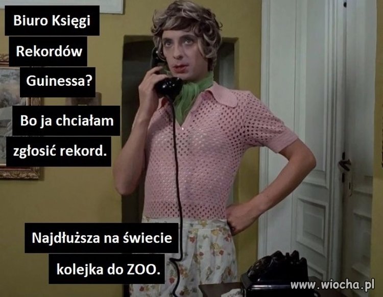 Niedziela była, każdy może iść do ZOO