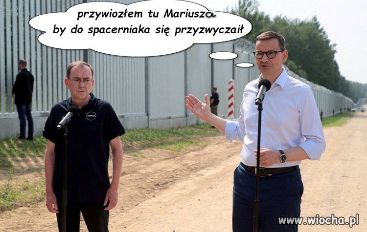 Pinokio,Mariusz