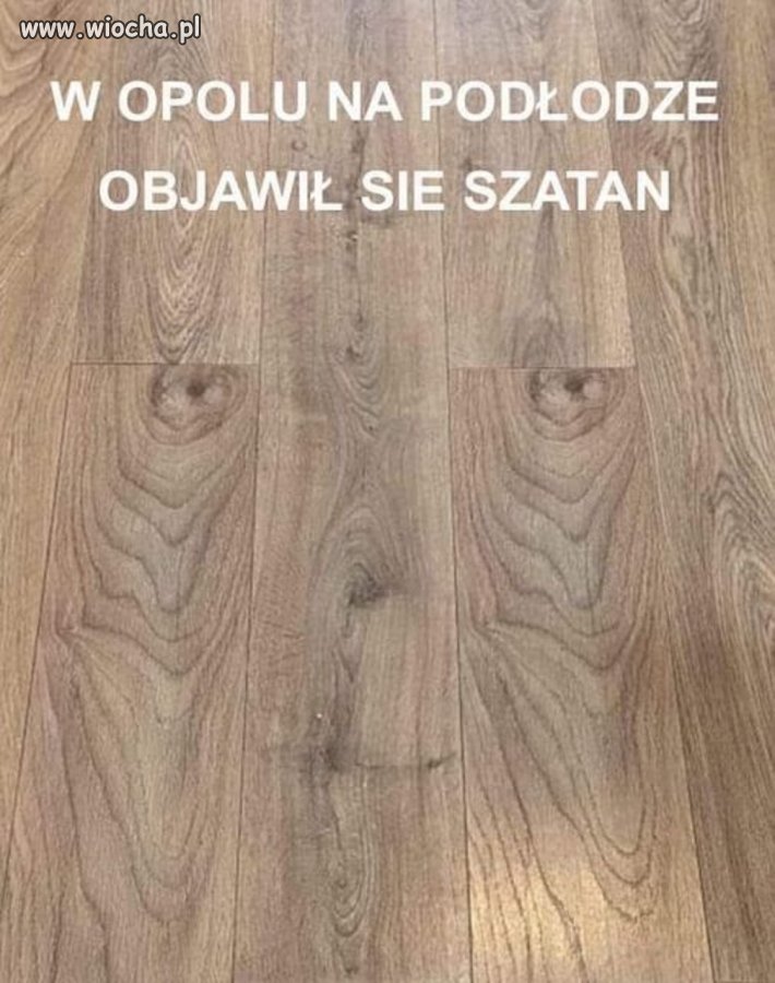 Dewotki już jadą