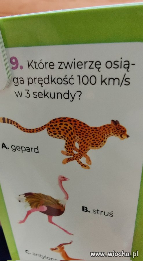 Myślę że gepard 