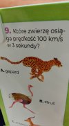 Myślę że gepard 