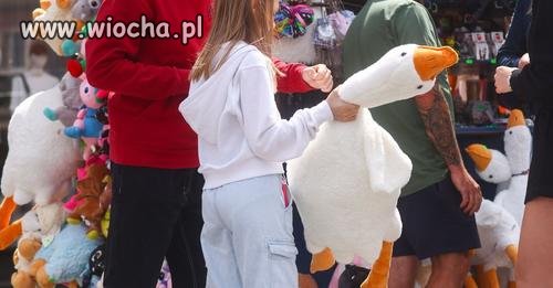 Gęś Pipa