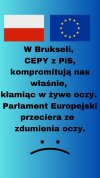 Tak to wygląda